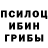 Псилоцибиновые грибы Magic Shrooms Titus Tezuka