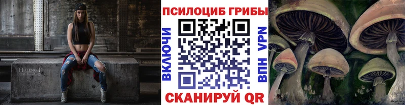 закладка  ОМГ ОМГ ТОР  Псилоцибиновые грибы Cubensis  Нестеров 